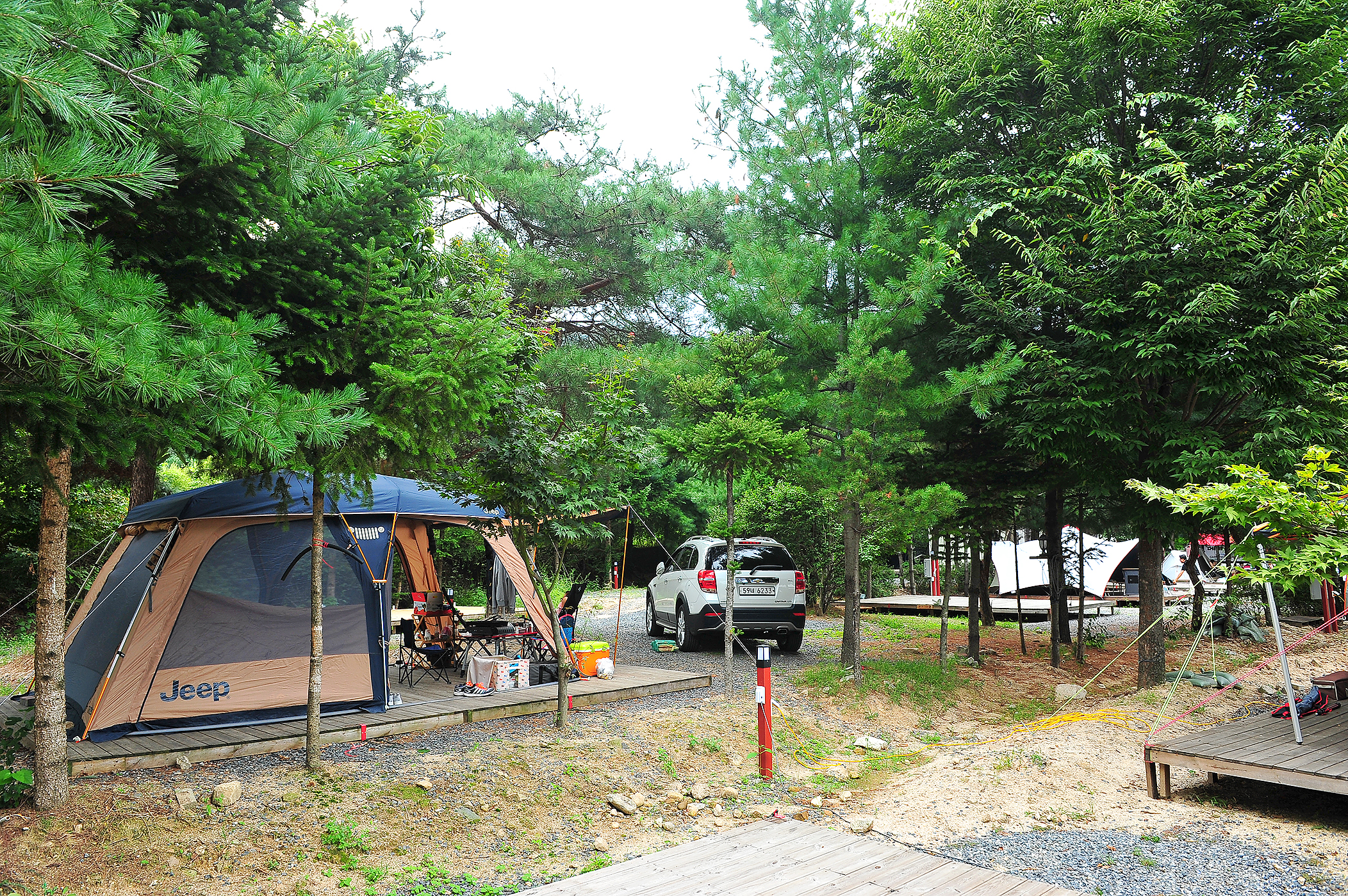 핫도그342애견글램핑카라반
