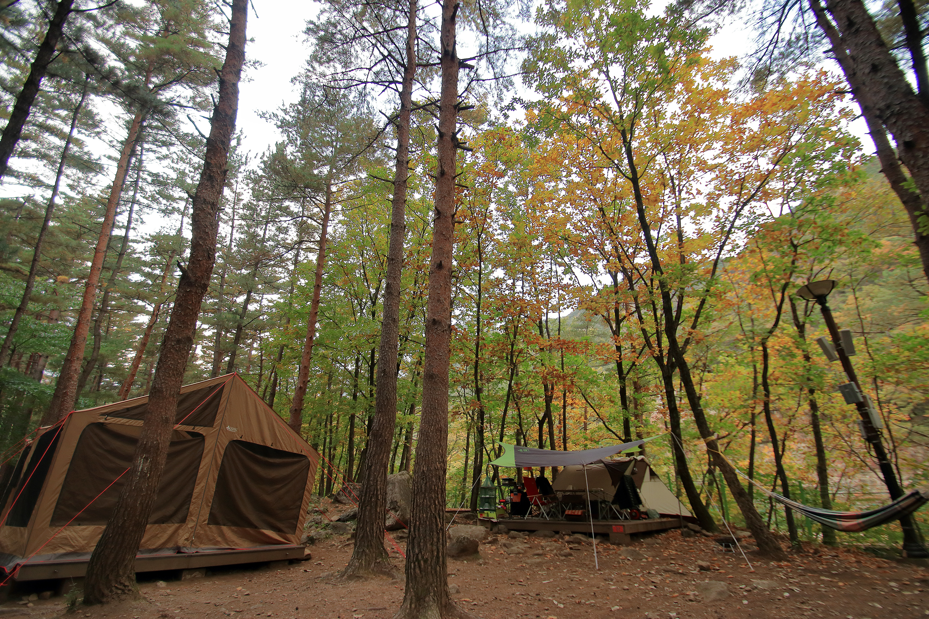 무릉계곡 힐링캠핑장