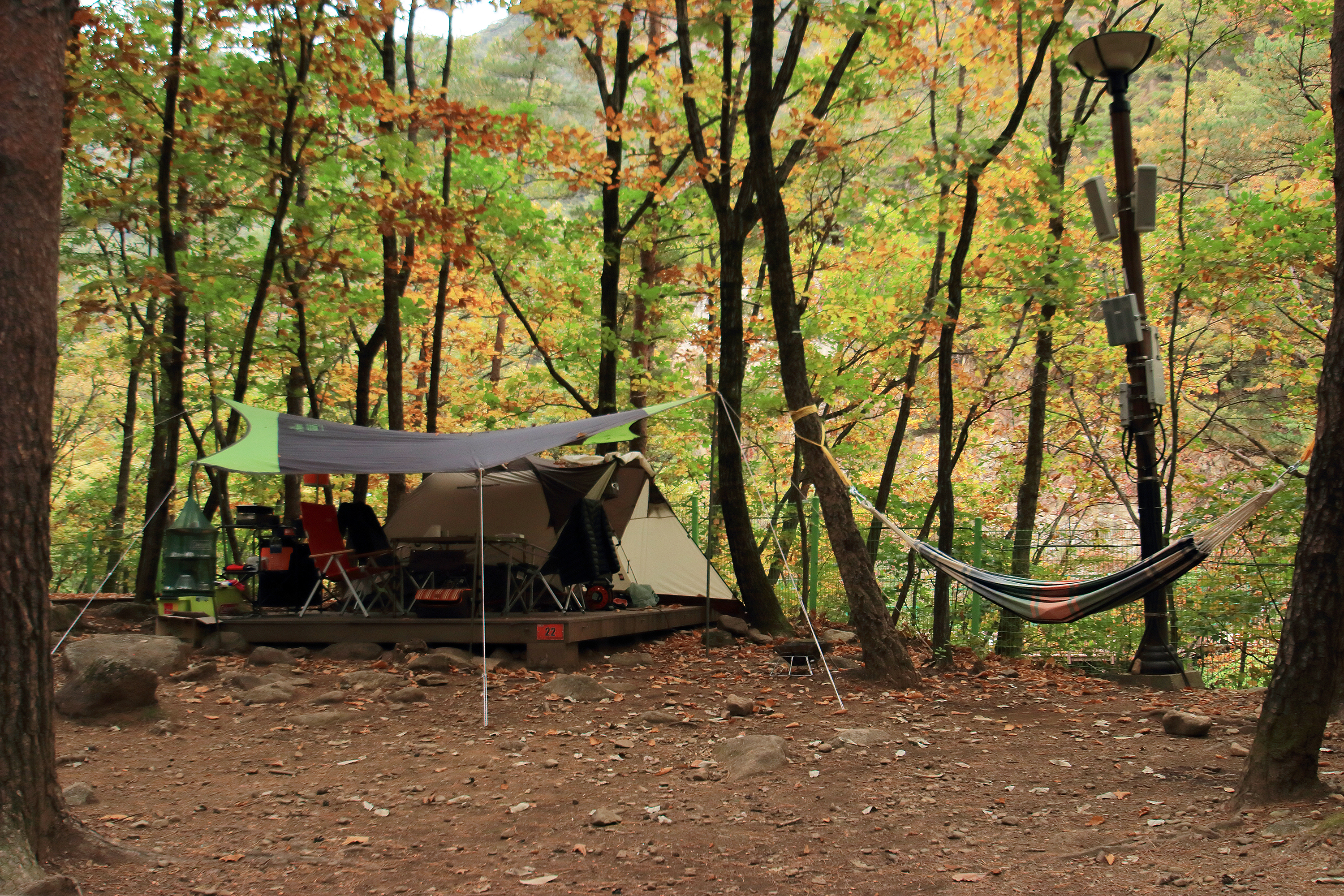 무릉계곡 힐링캠핑장