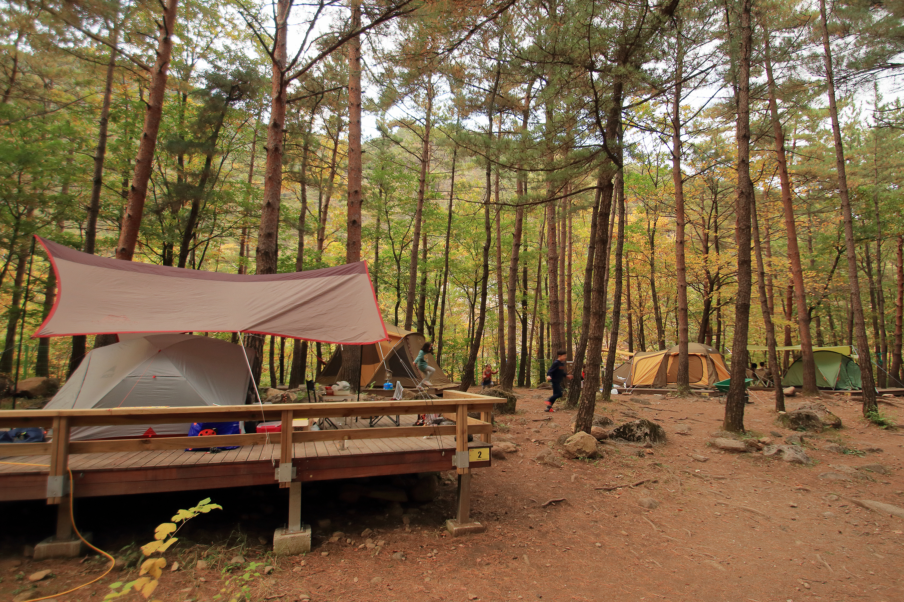 무릉계곡 힐링캠핑장