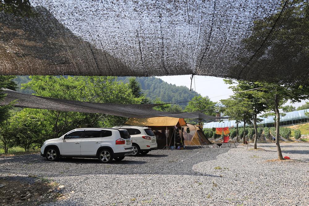 무릉도원 캠핑장