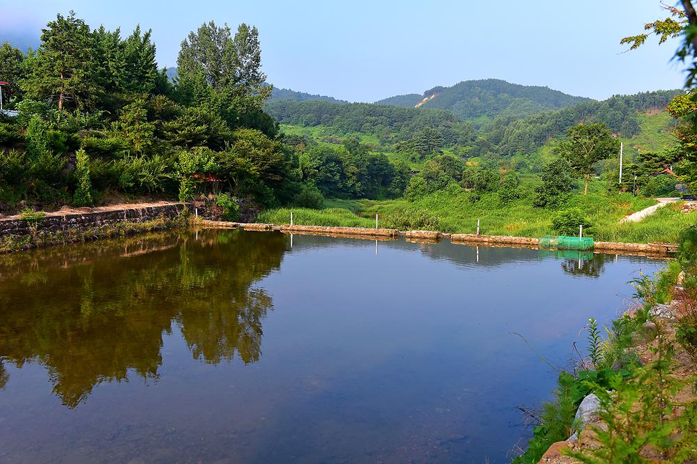무주 솔밭야영장