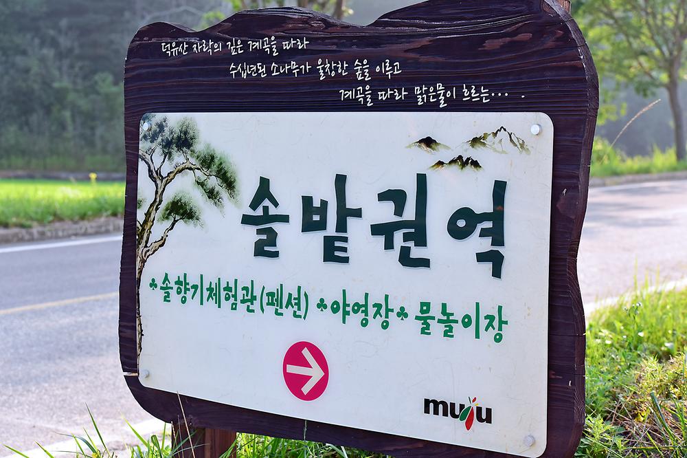 무주 솔밭야영장