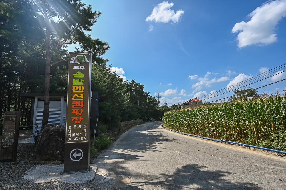 솔밭야영장