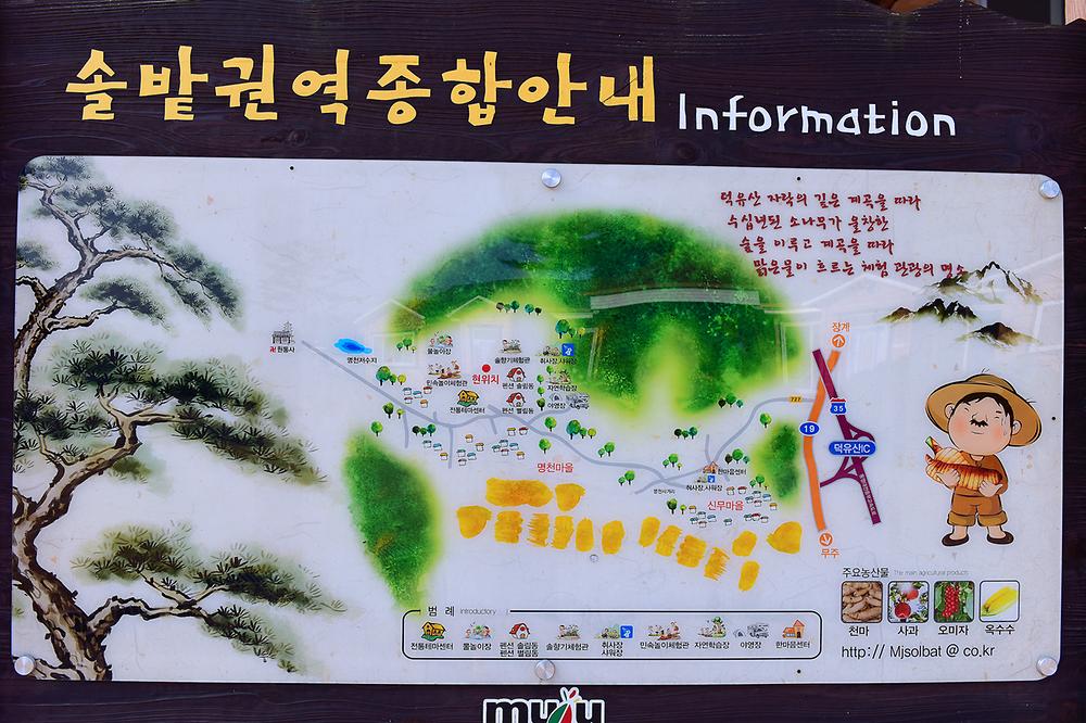 무주 솔밭야영장