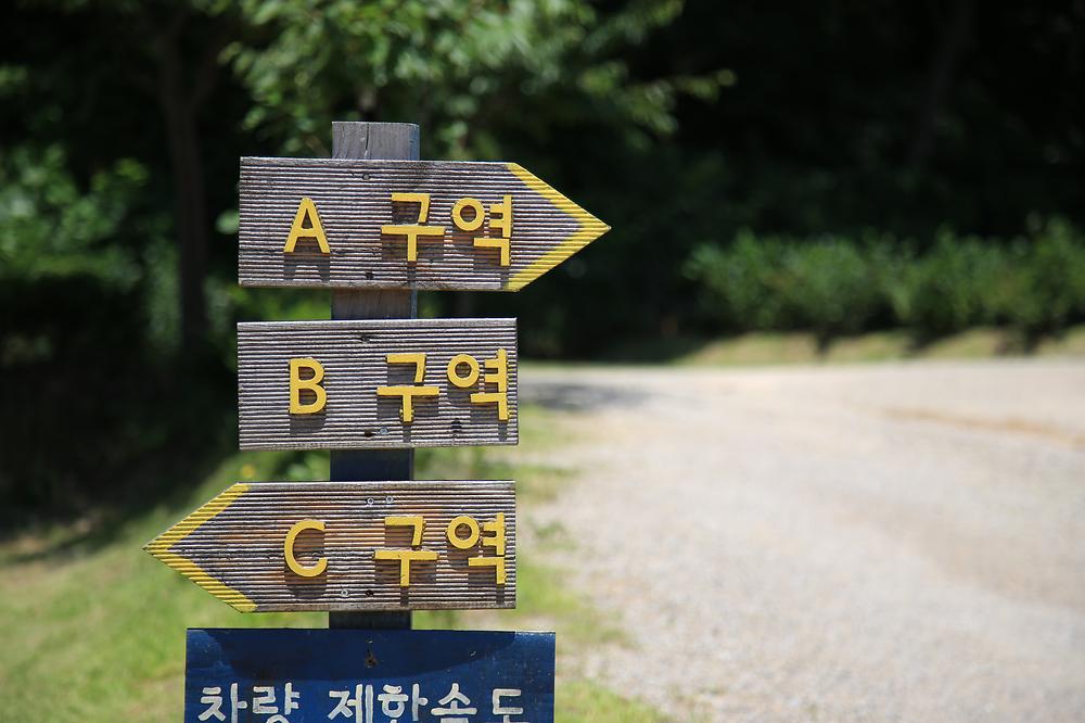문라이트캠핑장