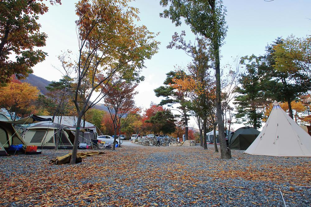 문복산 캠핑장