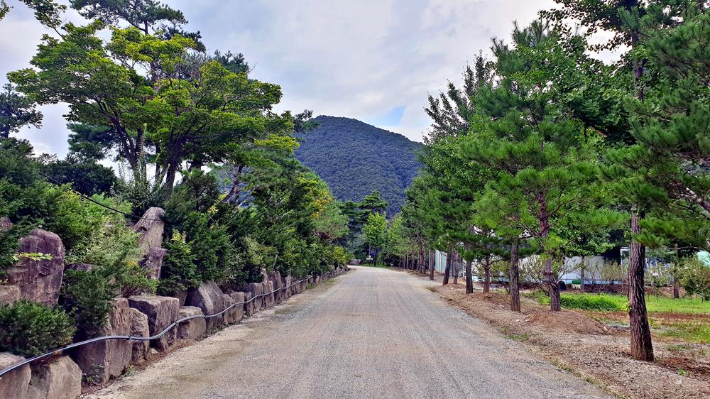 미산가족오토캠핑장