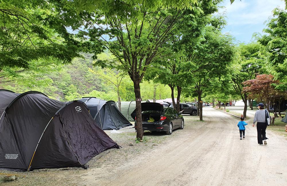 미산가족오토캠핑장