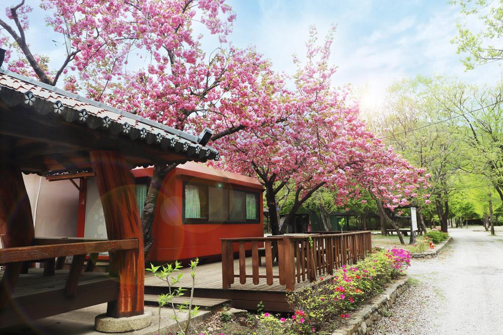 미산가족오토캠핑장