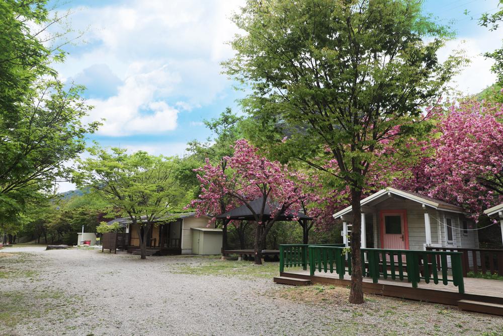 미산가족오토캠핑장