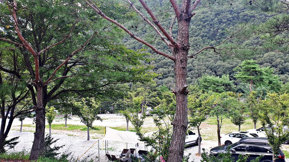 미산가족오토캠핑장