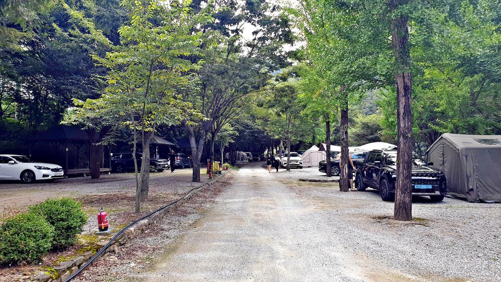 미산가족오토캠핑장