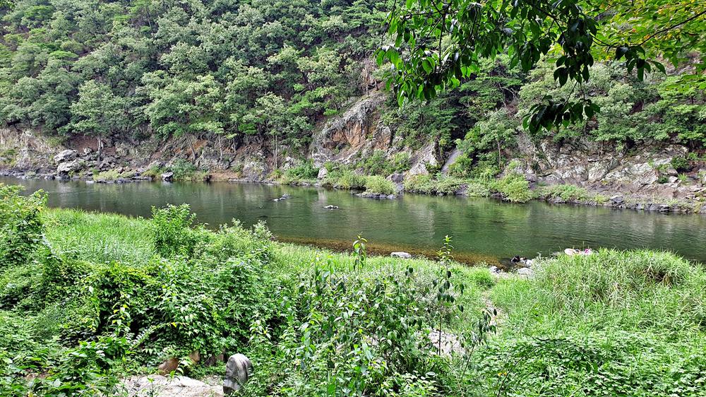 미산가족오토캠핑장