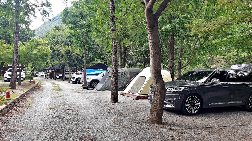 미산가족오토캠핑장