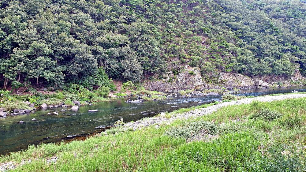 미산가족오토캠핑장