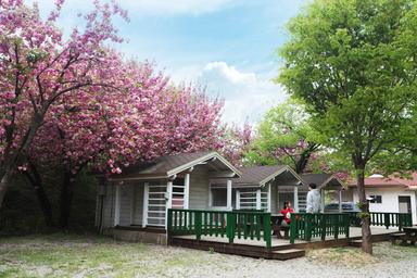 캠핑장소개 이미지