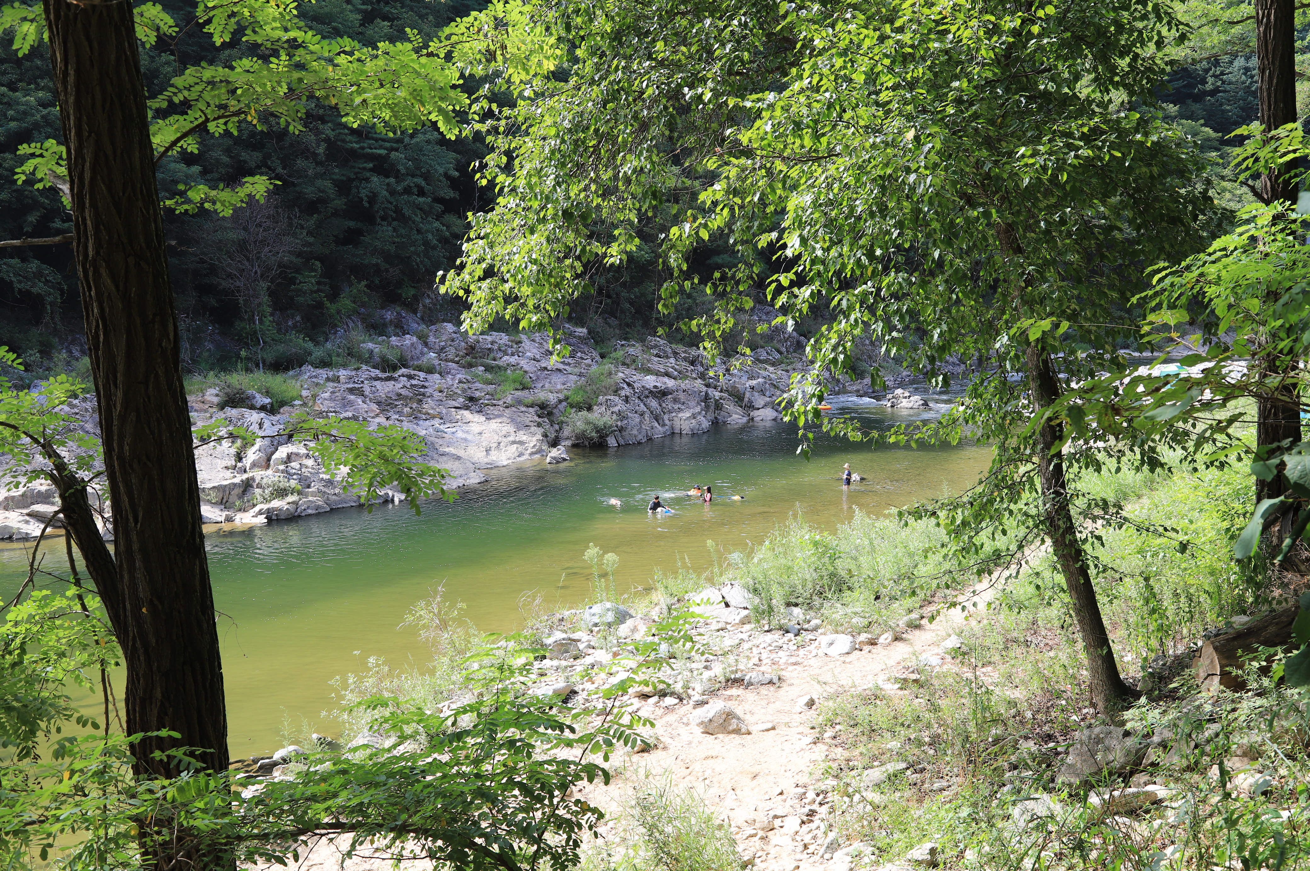 미산분교 캠핑장