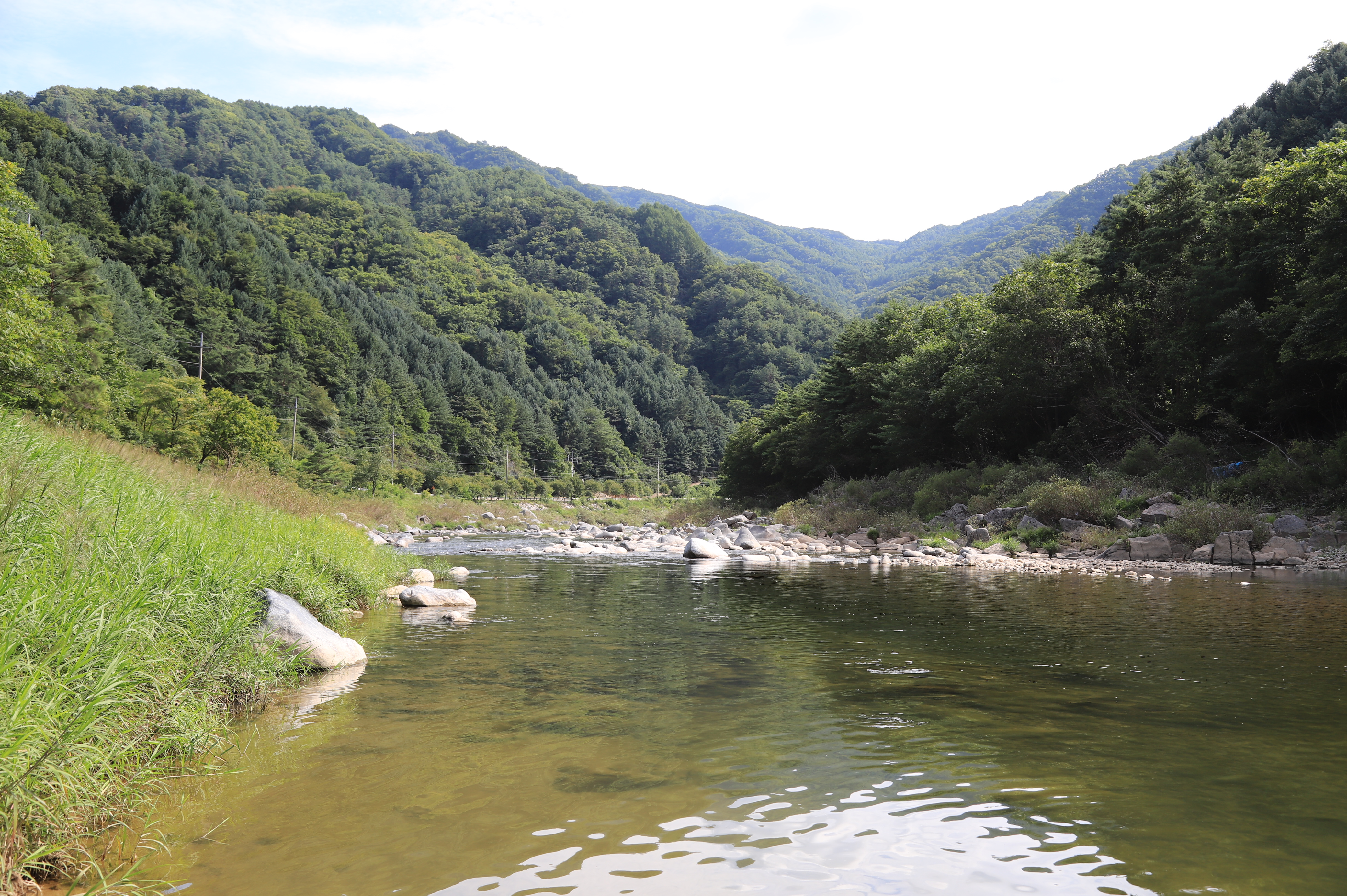 미산분교 캠핑장