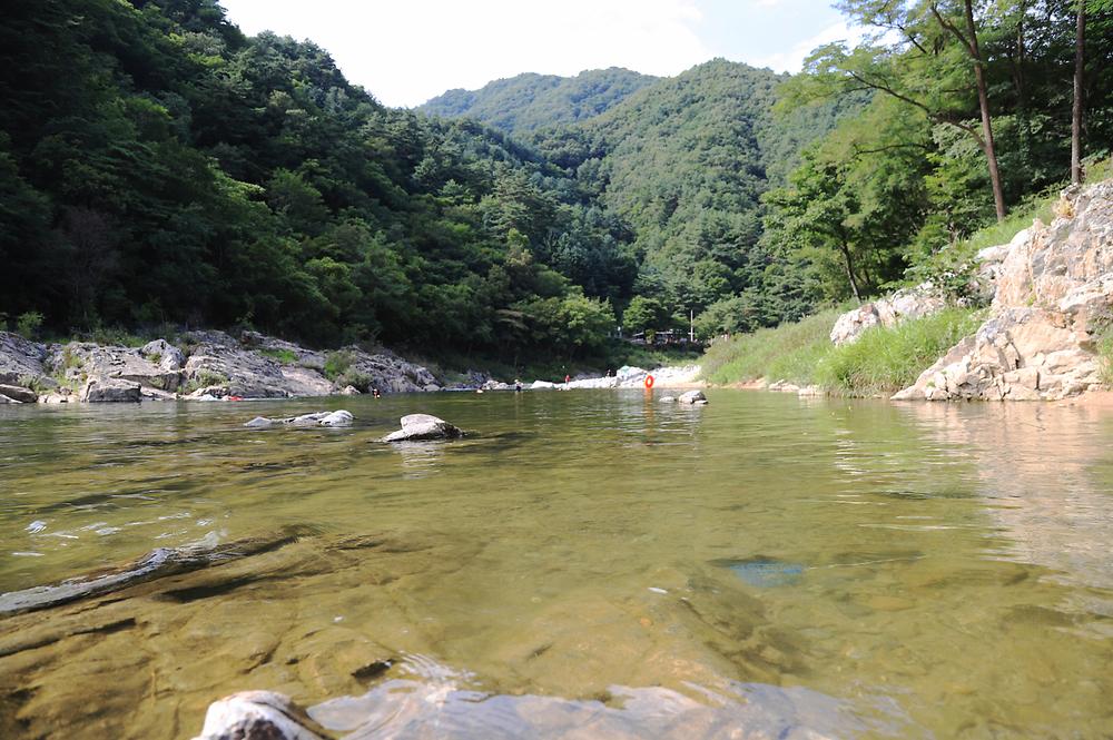 미산분교 캠핑장