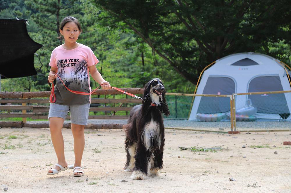 미산분교 캠핑장