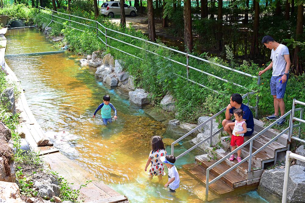 민들레동산 캠핑장