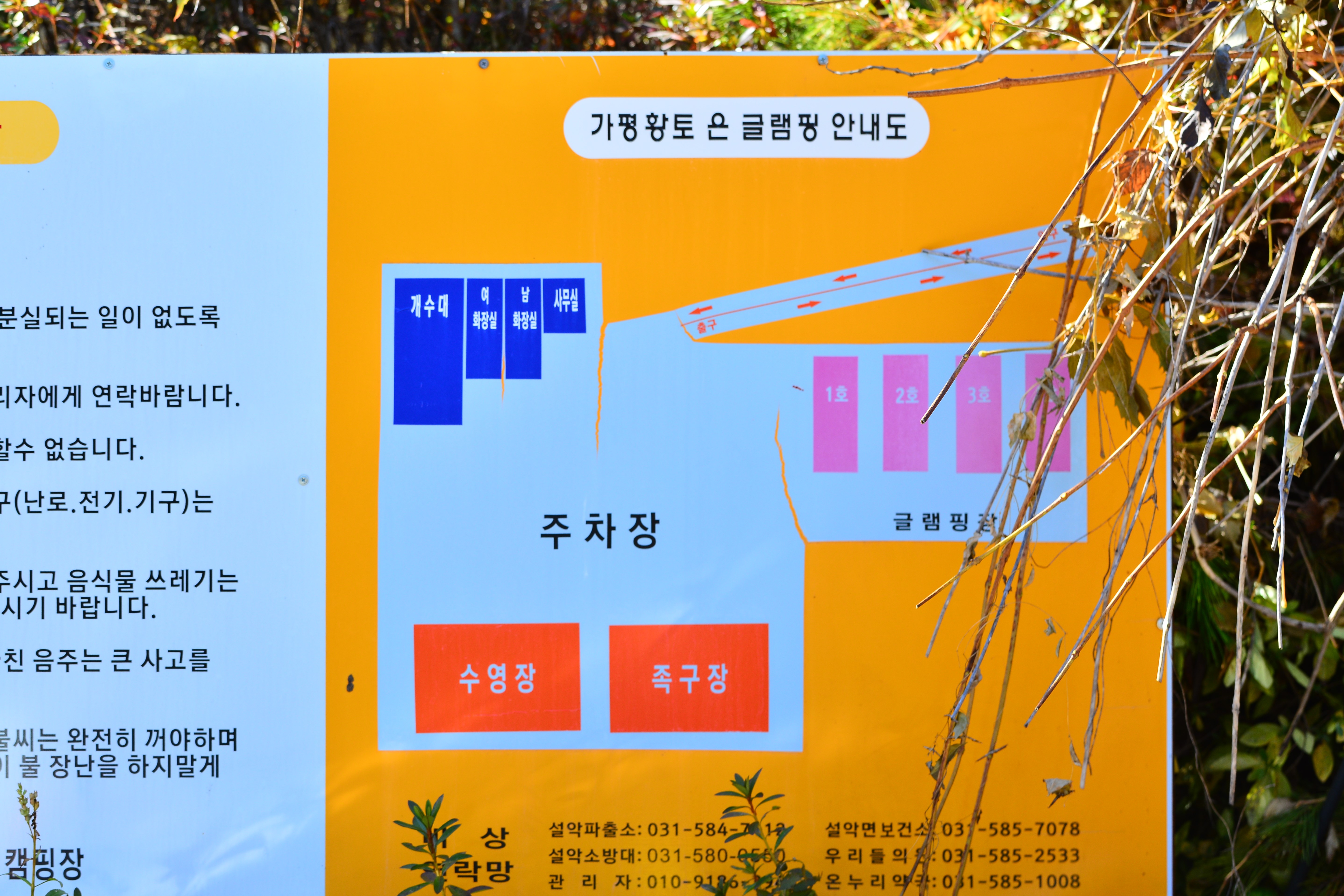 숨쉬는고래