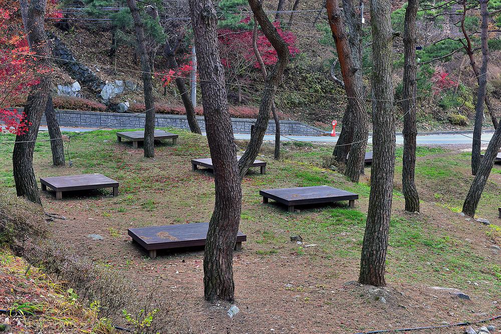 박달재 자연휴양림캠핑장