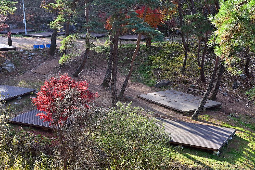 박달재 자연휴양림캠핑장