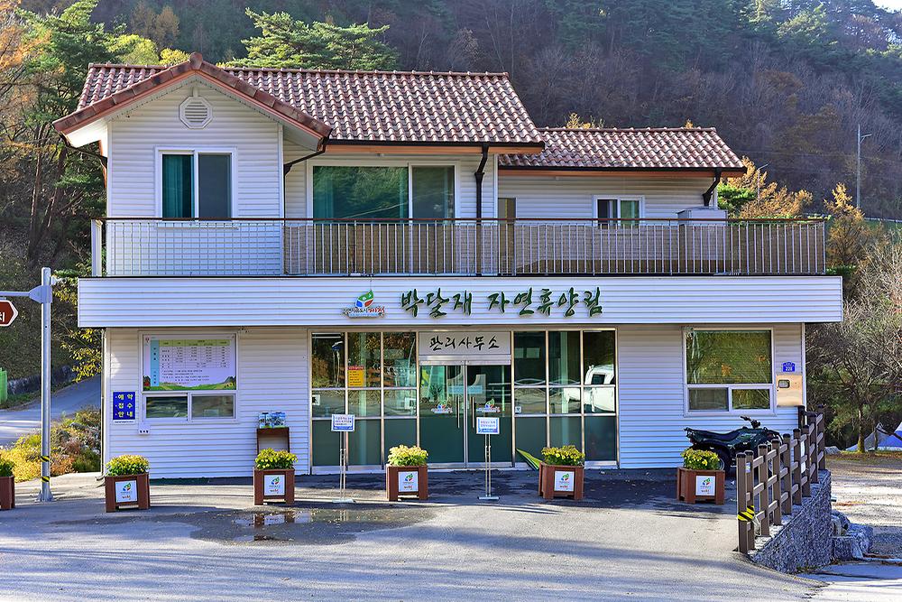 박달재 자연휴양림캠핑장