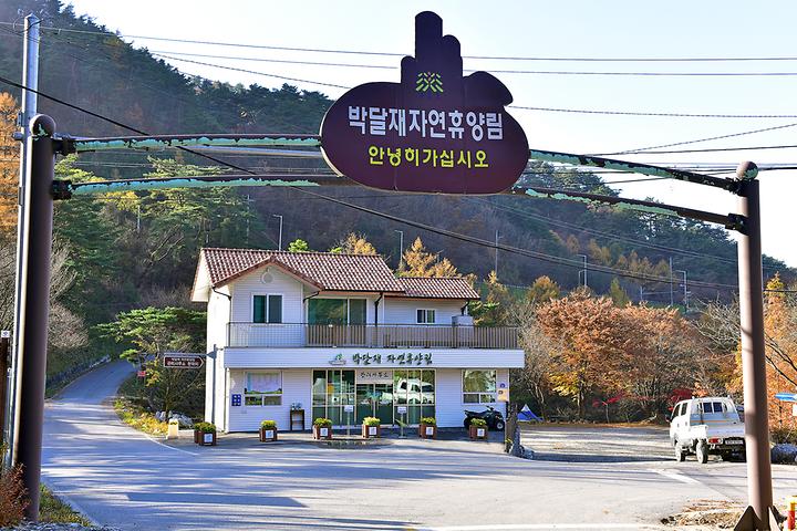 박달재 자연휴양림캠핑장 메인 이미지