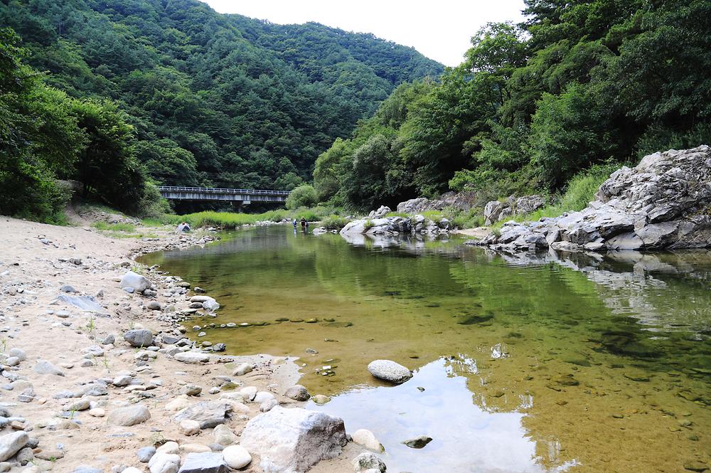 반디하우스캠핑장