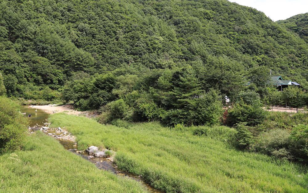 반디하우스캠핑장