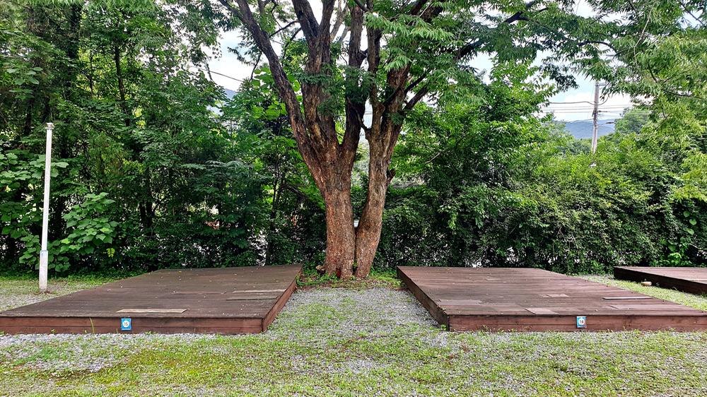 반딧불자연캠핑장