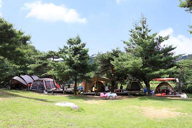 캠핑장소개 이미지