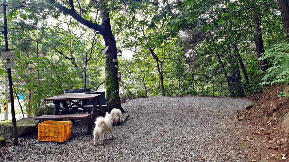 각화산캠핑장