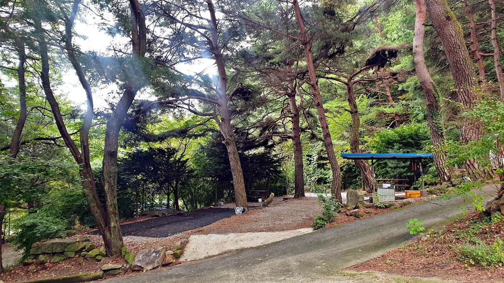 각화산캠핑장