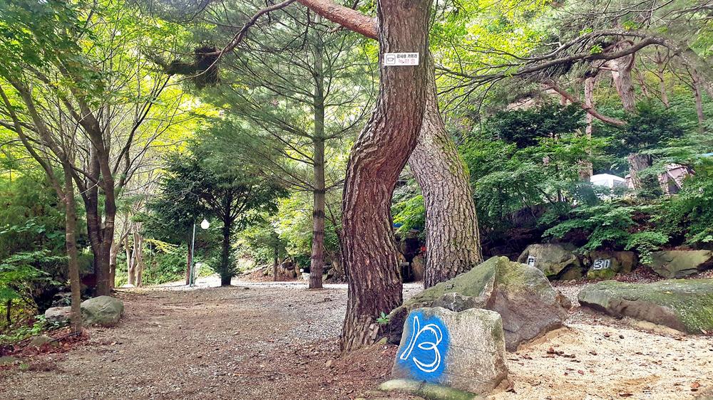 각화산캠핑장
