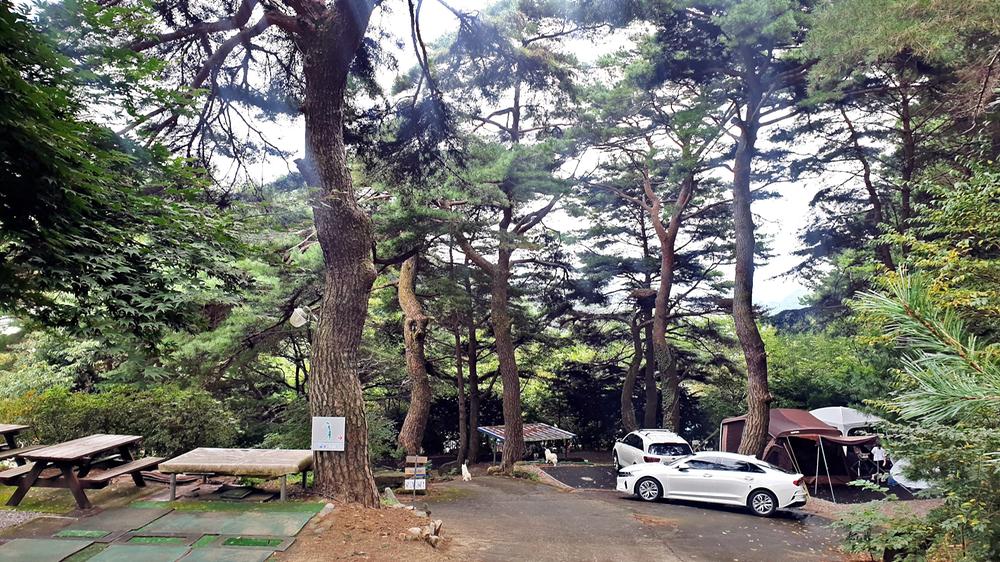 각화산캠핑장