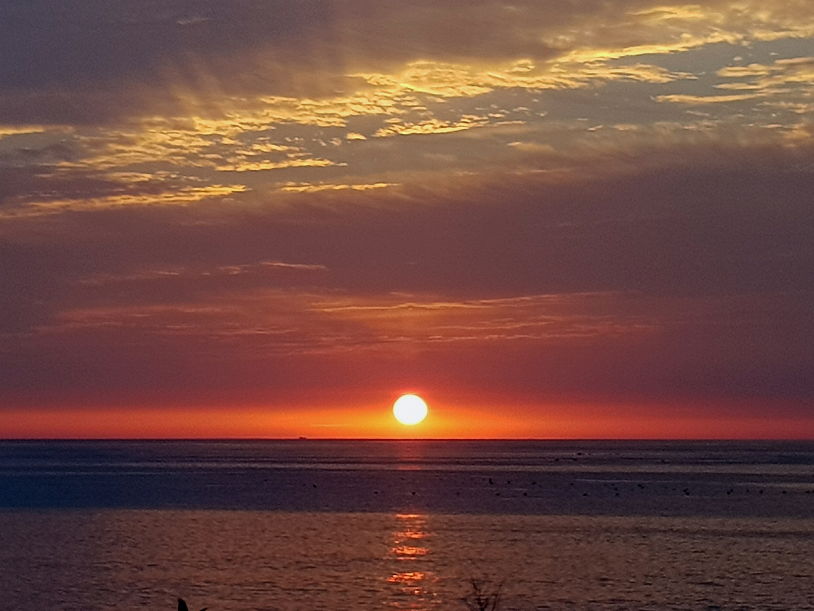 백경오토캠핑장