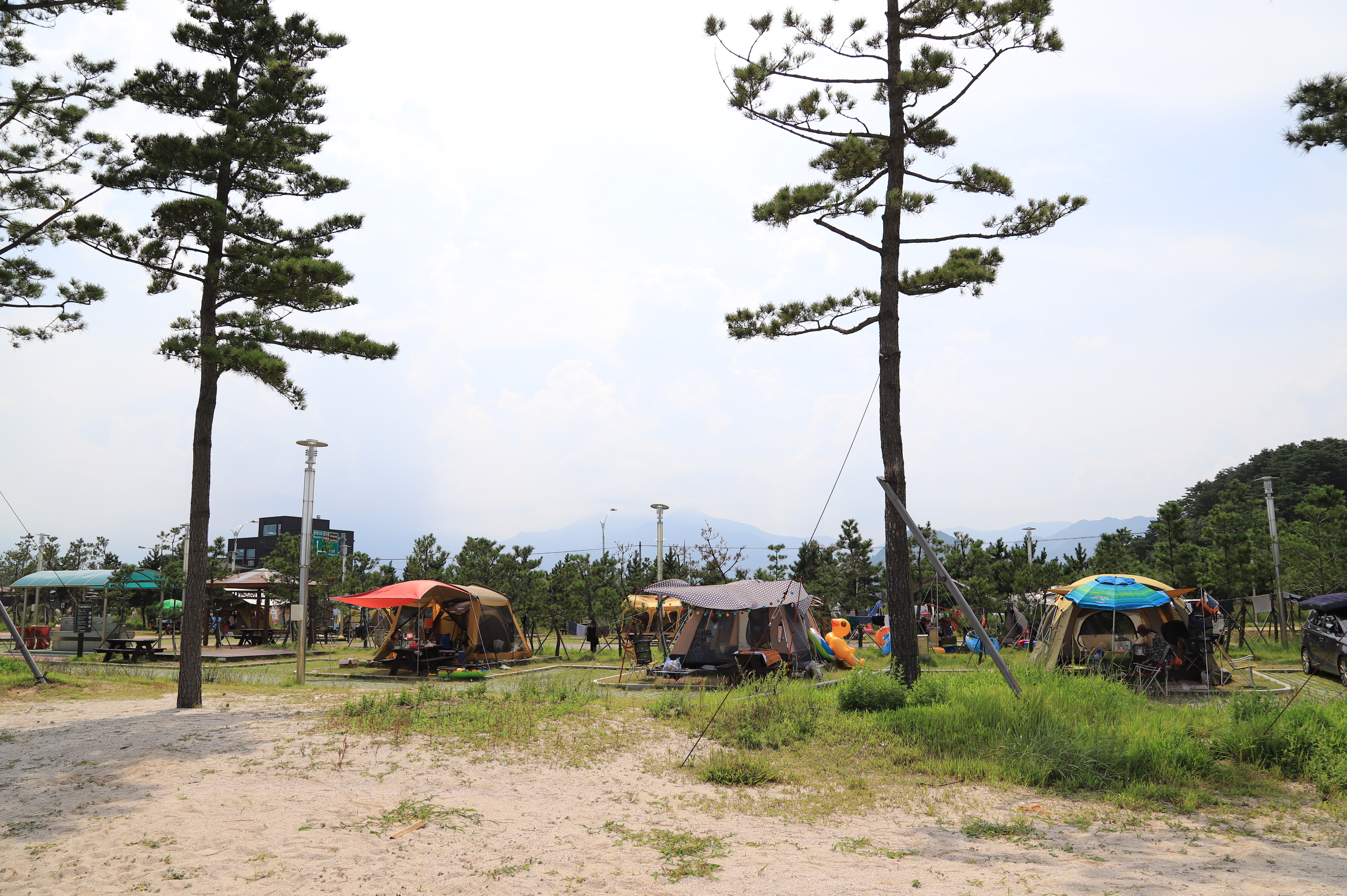 백도오토캠핑장