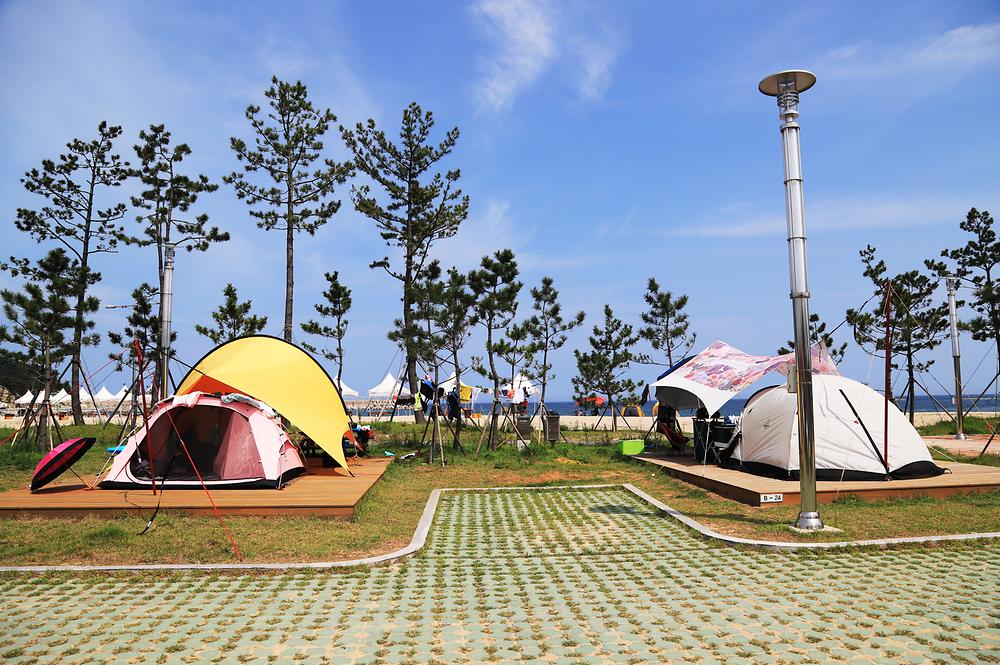 백도오토야영장