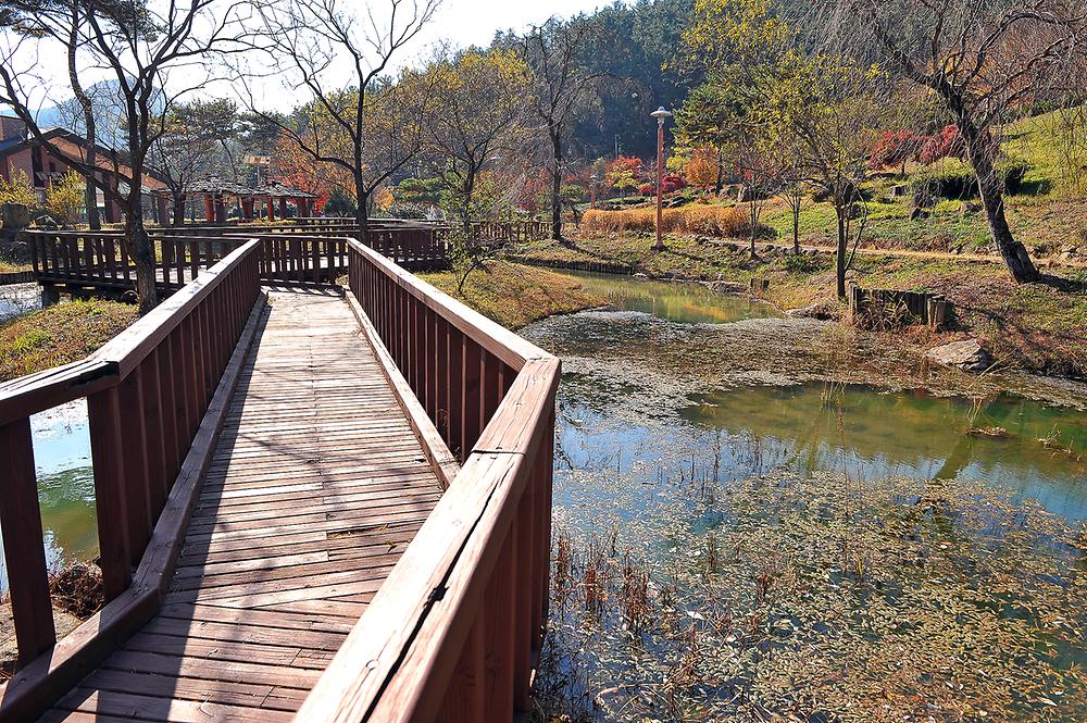 백운산 자연휴양림 야영장
