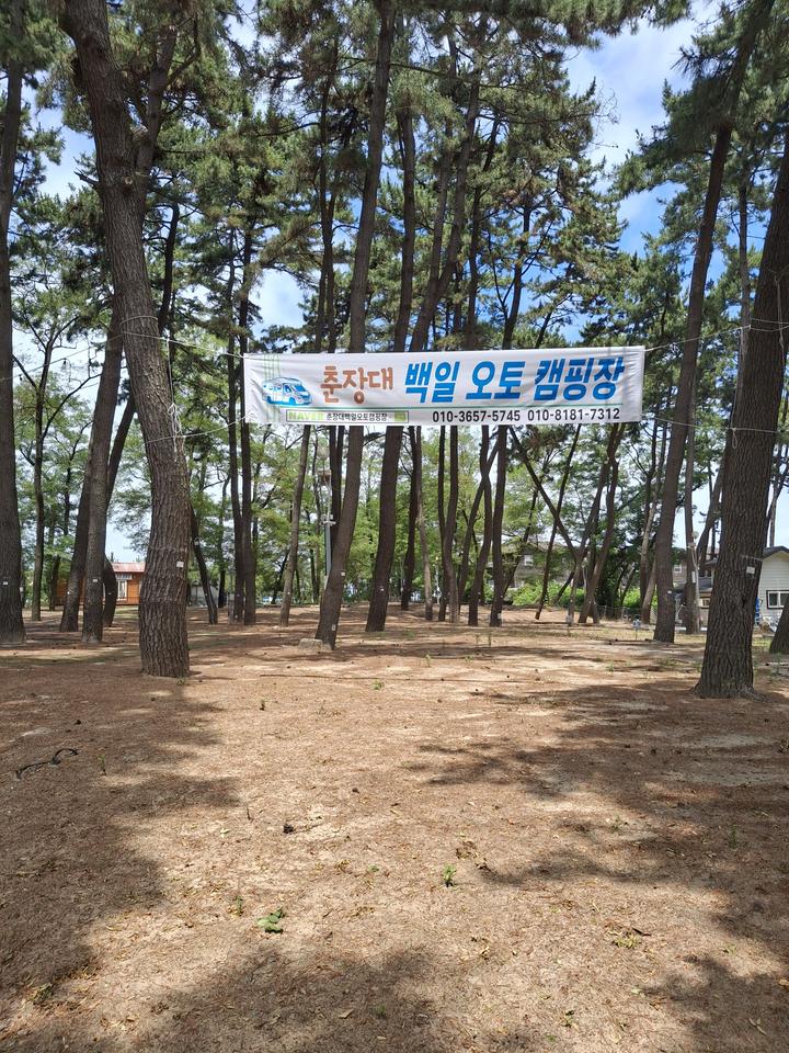춘장대 백일 캠핑장 메인 이미지