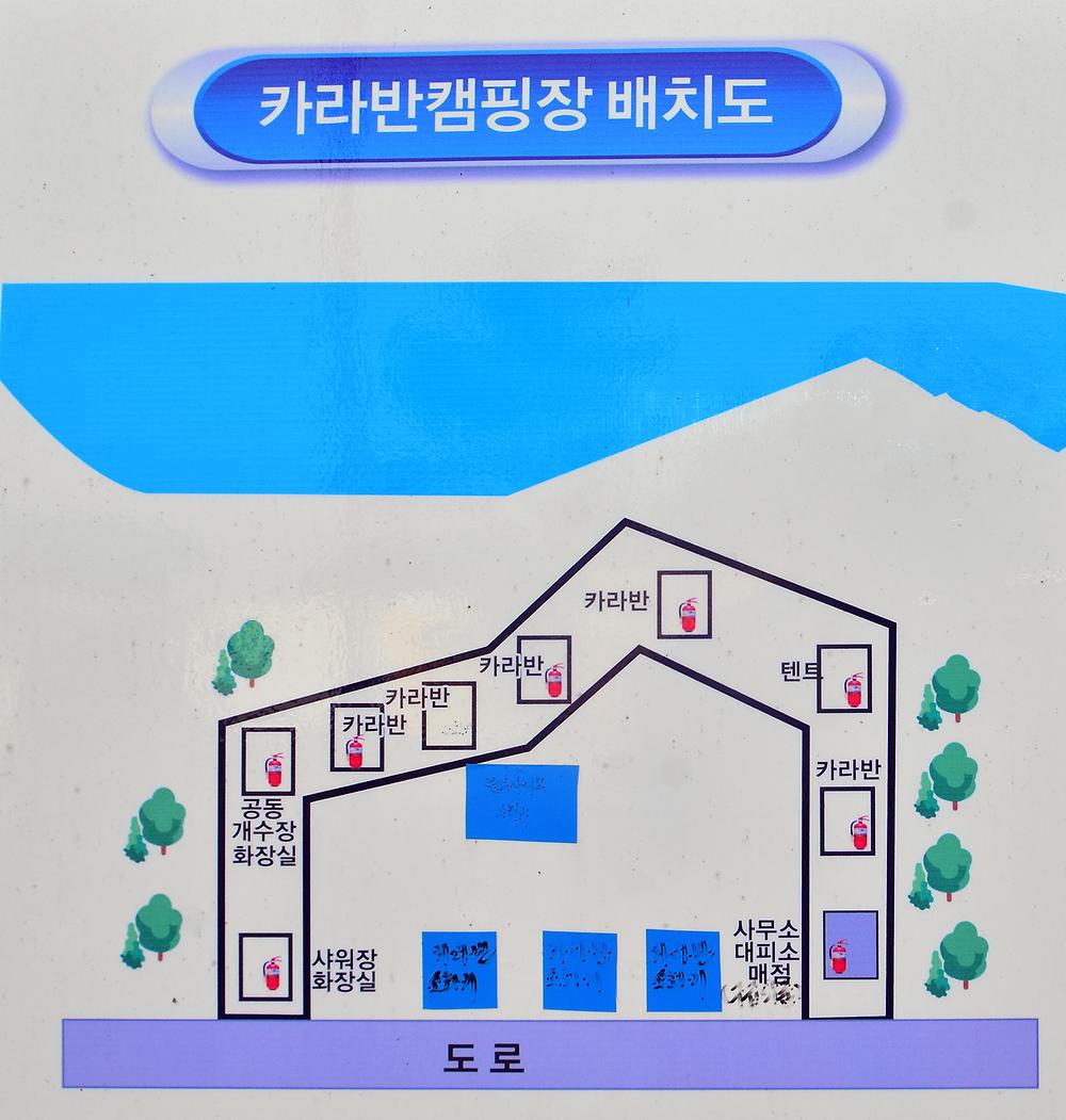 버디버디