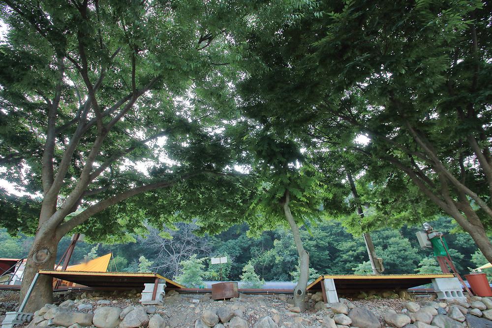 벌곡오토캠핑장