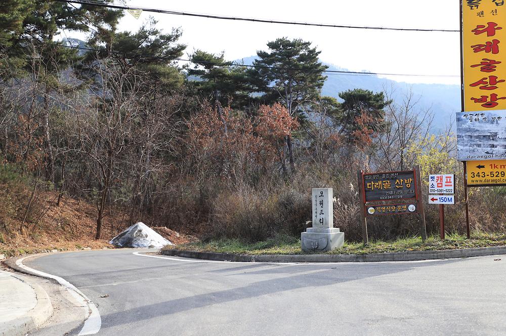 벳소캠프