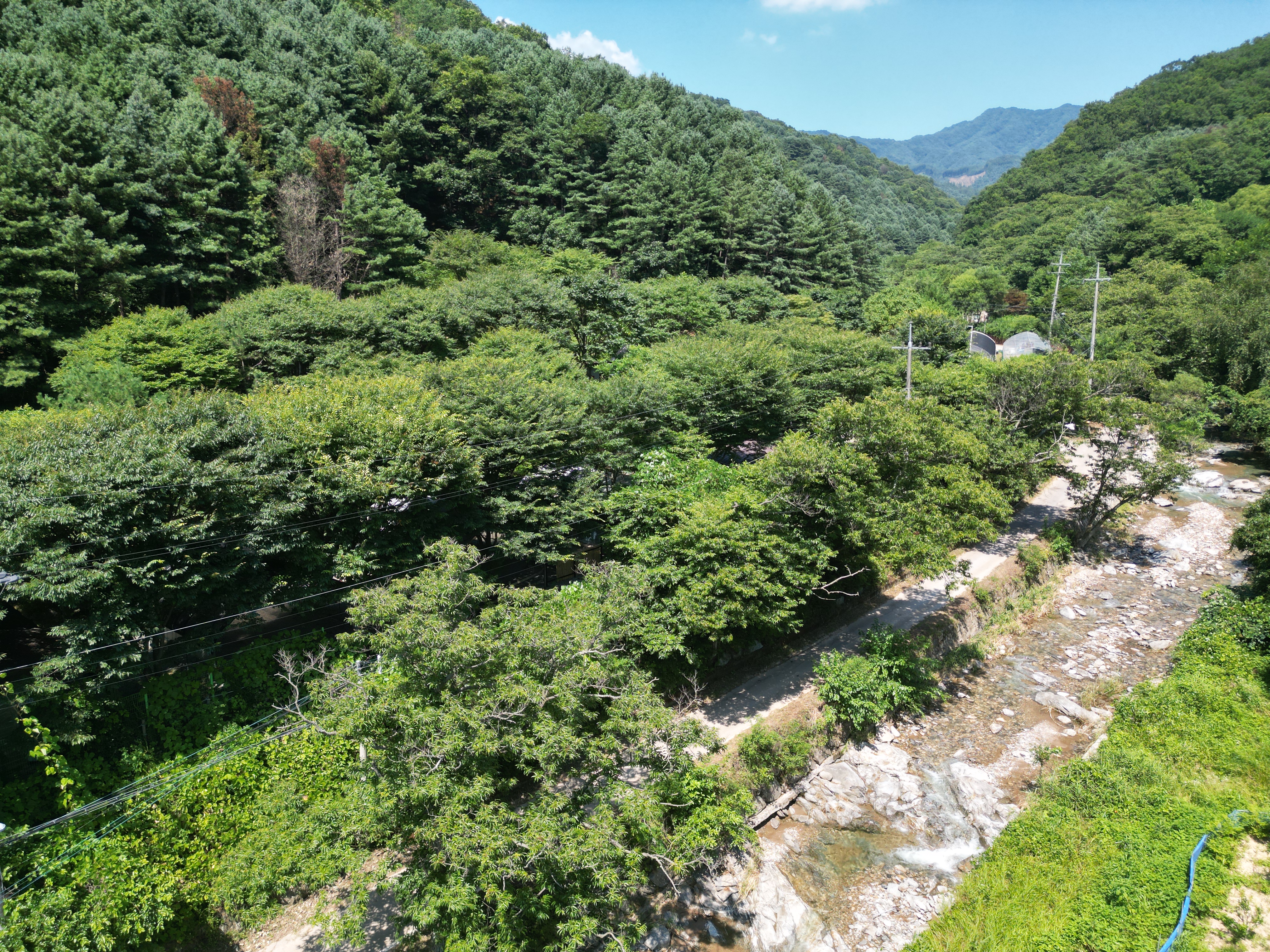 별드림캠핑장