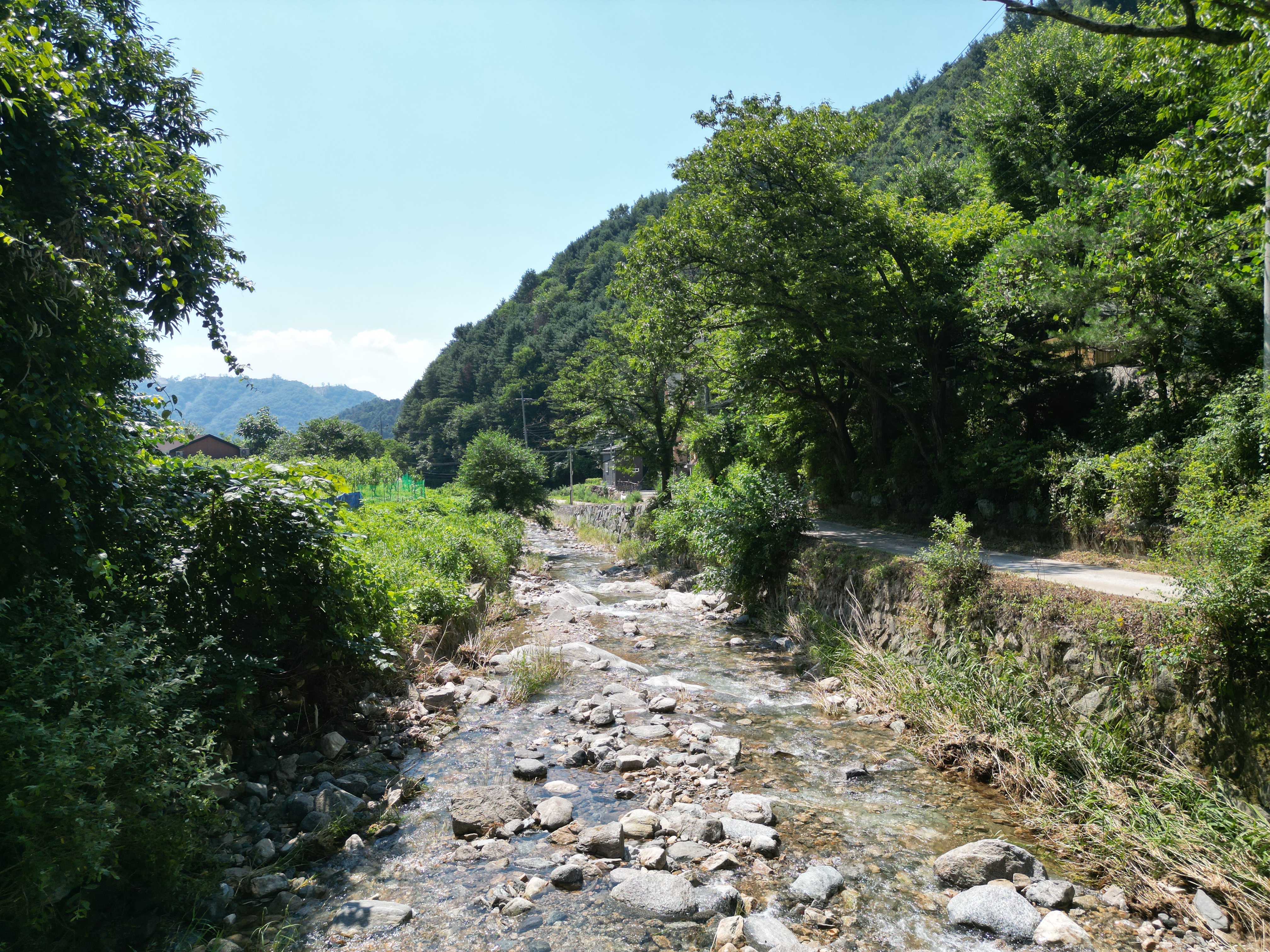 별드림캠핑장