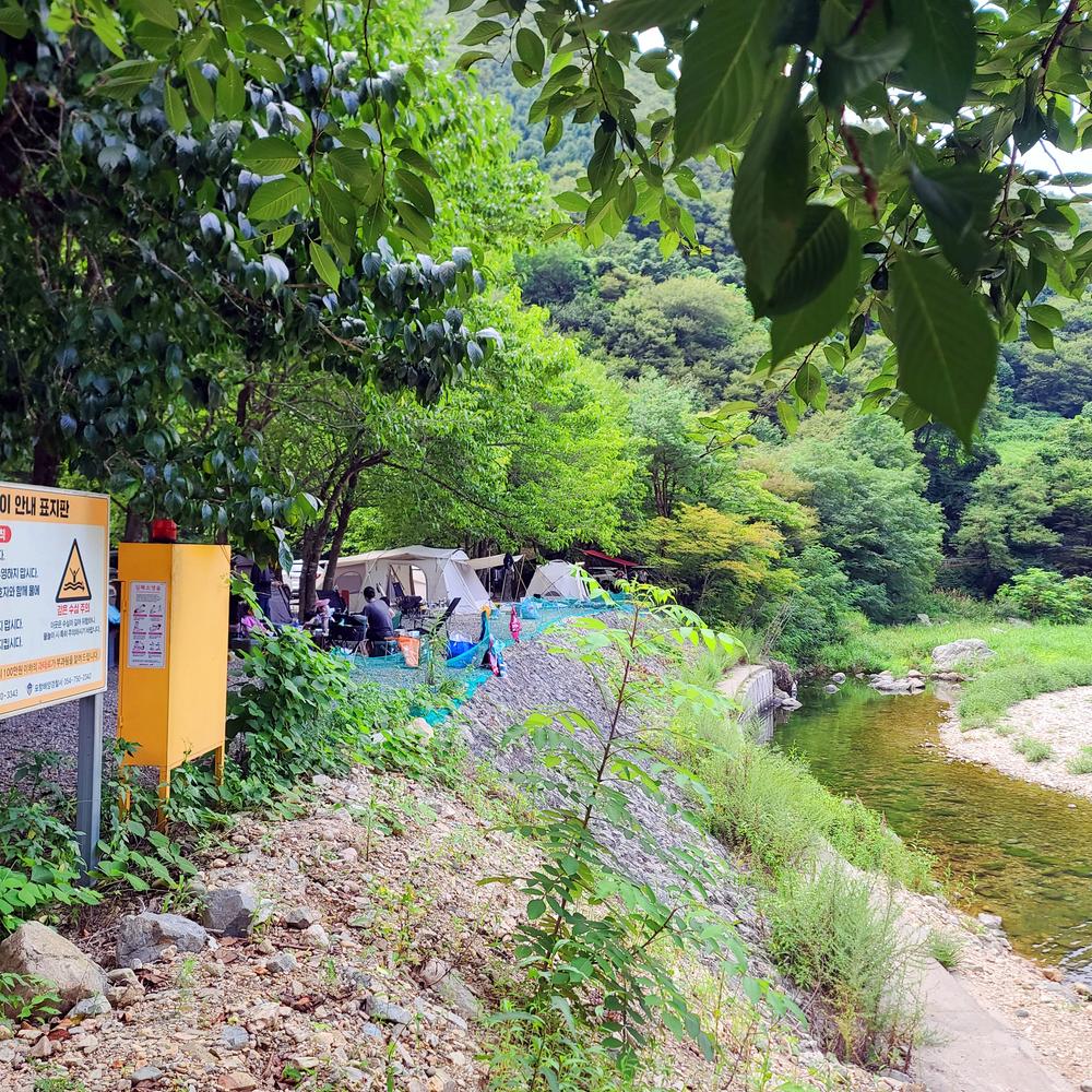 별삼킨별캠핑장